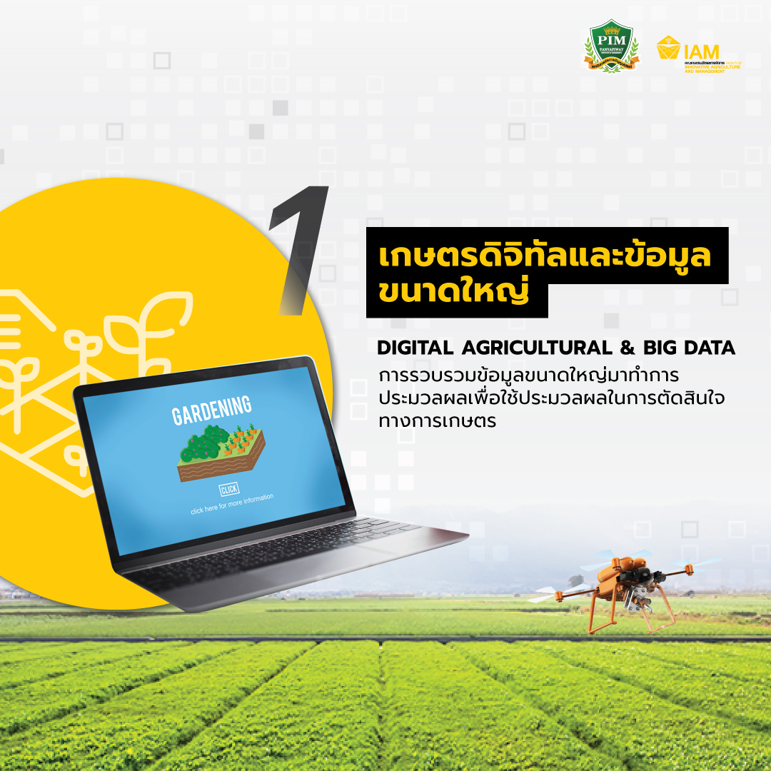 เกษตรดิจิทัลและข้อมูลขนาดใหญ่ Digital Agricultural & Big Data